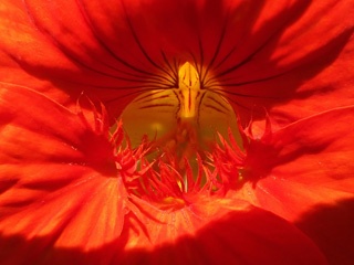 P9285299a.jpg
